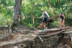 BIB: 
                            <button type="button" onclick="openModal(27555301)" class="btn btn-primary btn-sm float-right btn-popup" data-toggle="modal" data-target=".modal-high-quality">
                        <i class="fas fa-shopping-cart"></i> Add to Cart
                    </button>
                                            <button type="button" onclick="isThisMe(27555301, true)" class="btn btn-success btn-sm float-right btn-popup btn-isme hidden" data-toggle="tooltip" data-placement="bottom" title="นี่คือรูปของคุณใช่ไหม คลิกที่นี่เพื่อเอาเข้าอัลบั้ม">
                        <i class="fas fa-plus"></i> Add to album
                    </button>
                    <button type="button" onclick="isThisMe(27555301, false)" class="btn btn-warning btn-sm float-right btn-popup btn-isnotme hidden">
                        <i class="fas fa-ban"></i> Remove from album
                    </button>